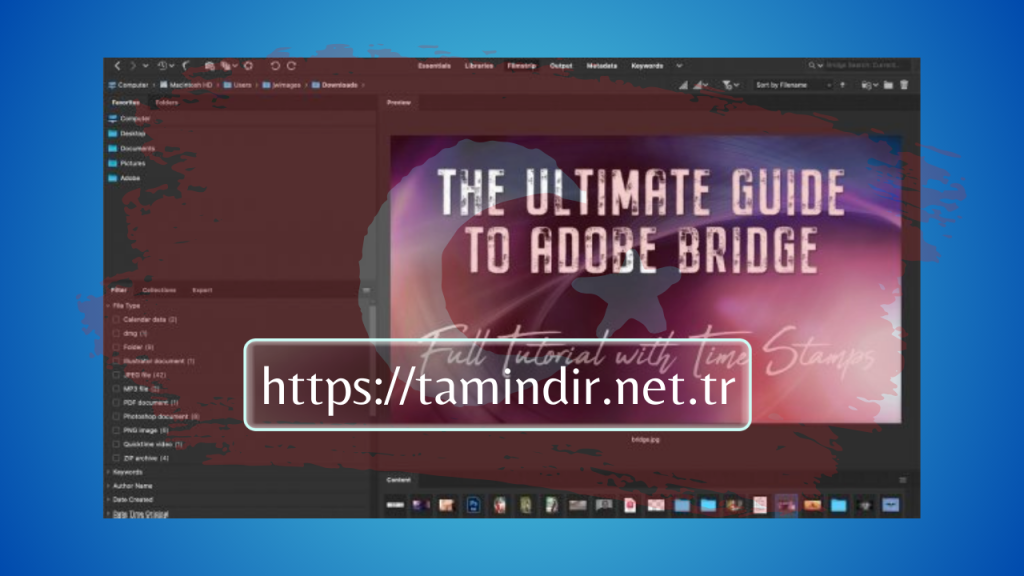 Adobe Bridge Indir