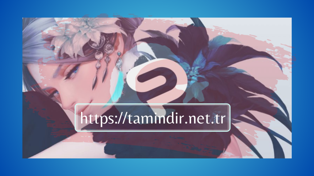 Clip Studio Paint EX Crack