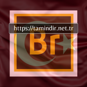 Adobe Bridge 2023 Profesyonel Dijital Varlık Yönetimi’ni İndirin