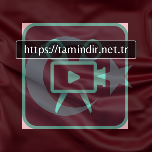 Download Movavi Video Editor