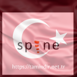 Download Spine Pro 3.8.75 Full Crack