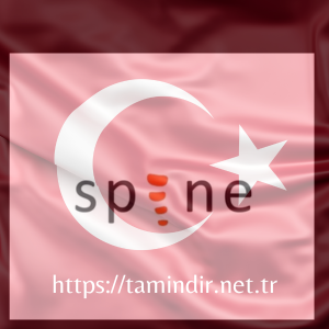 Download Spine Pro 3.8.75 Full Crack