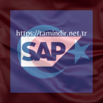 What is SAP? SAP yazılımının 6 öne çıkan özelliğinin özeti