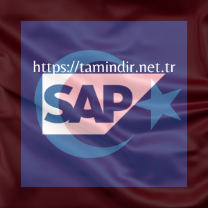 What is SAP? SAP yazılımının 6 öne çıkan özelliğinin özeti