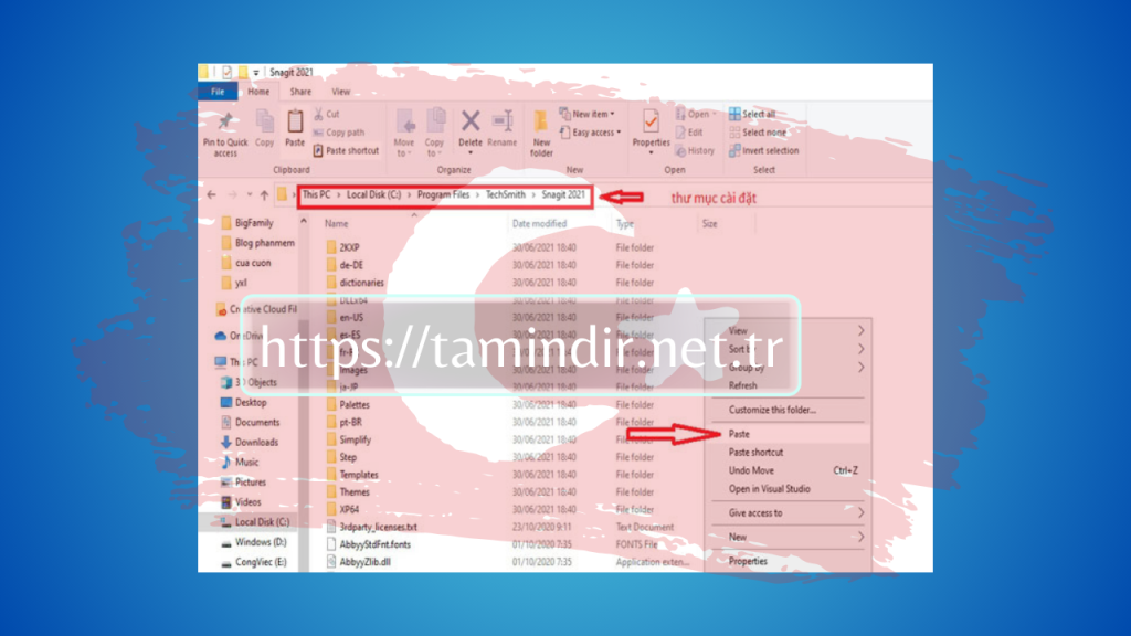 Snagit 2021 download