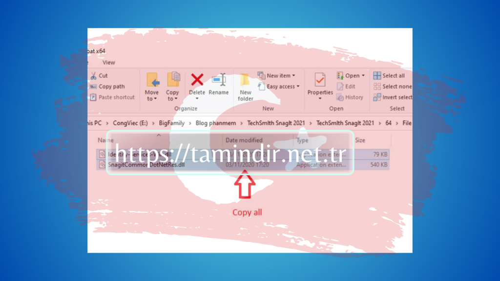 Snagit 2021 download