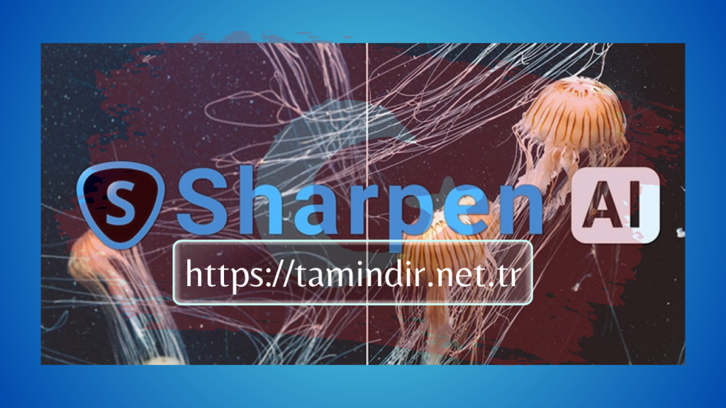 Topaz Sharpen AI Crack