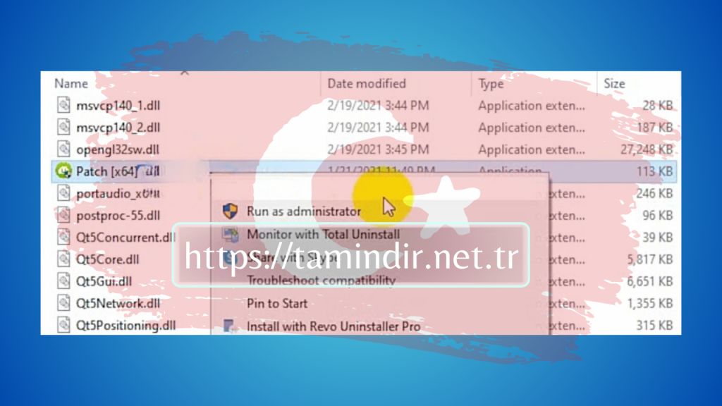 4K Video Downloader Pro Portable 