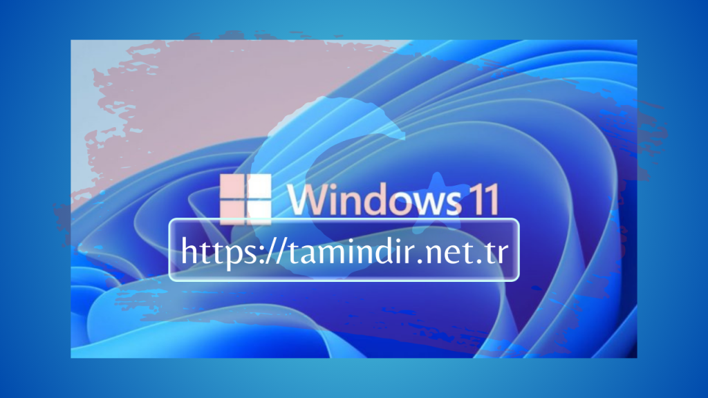 Active Win 11 Pro