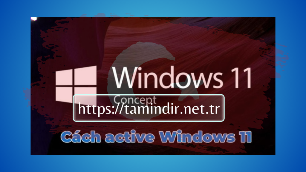 Active Win 11 Pro
