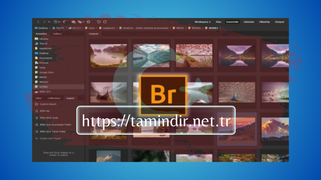 Adobe Bridge 2022 Full Crack