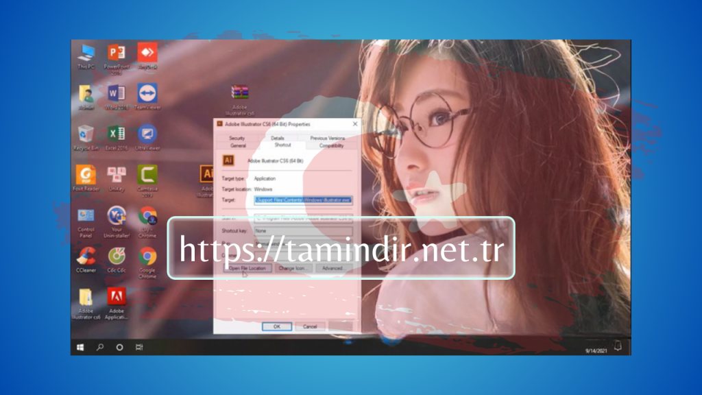 Adobe Illustrator CS6 Indir
