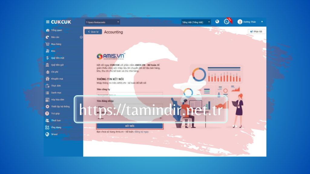 Amis accounting software