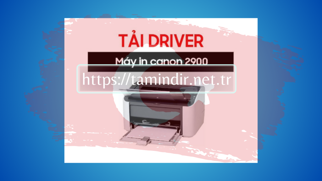 Canon 2900 printer Indir