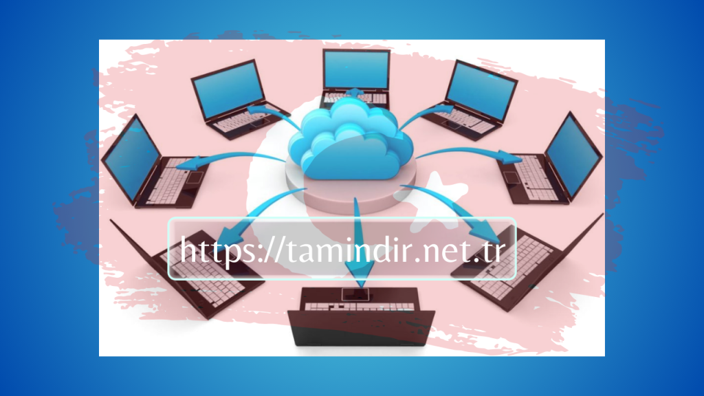 Data Management Software