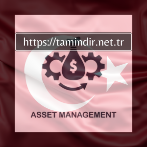 Günümüzün en Iyi 5 Asset Management Software
