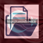 Download File Management Software
