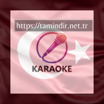 En Iyi Profesyonel ve Etkili Karaoke Management Software