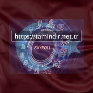 Günümüzün en Iyi 5 Payroll Software