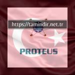 Download Proteus 8
