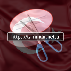 Download Snipping Tool