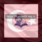 En Iyi 4 Study Abroad Center Management Software
