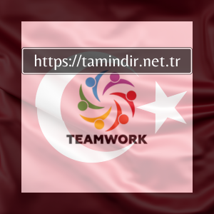 En Iyi 6 Etkili Profesyonel Teamwork Applications