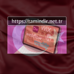Download Website Design Software