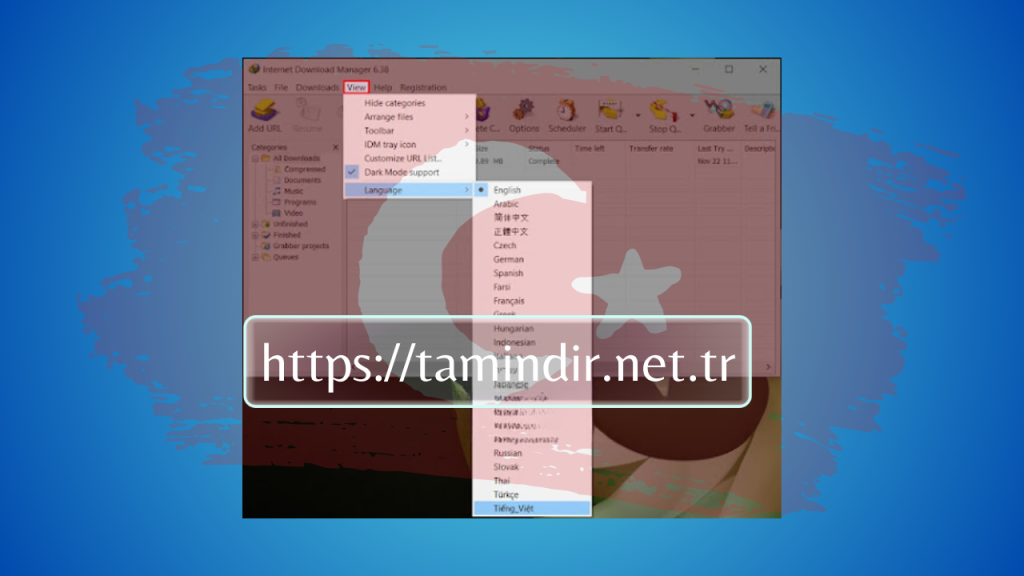 IDM Full Indir