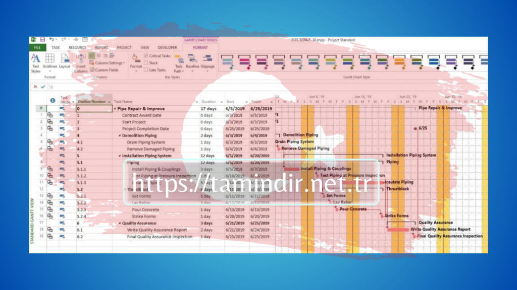 Microsoft Project