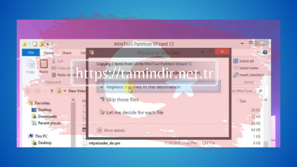 MiniTool Partition Wizard 12 Crack