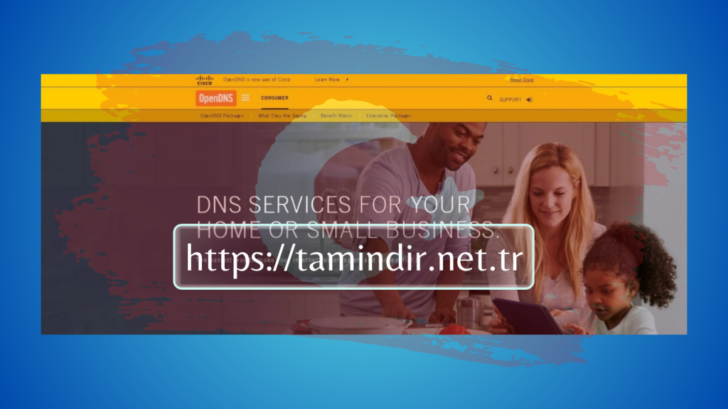 OpenDNS