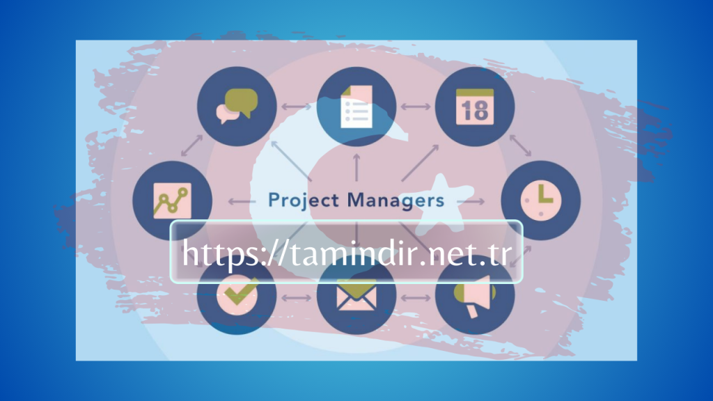 Project Manager