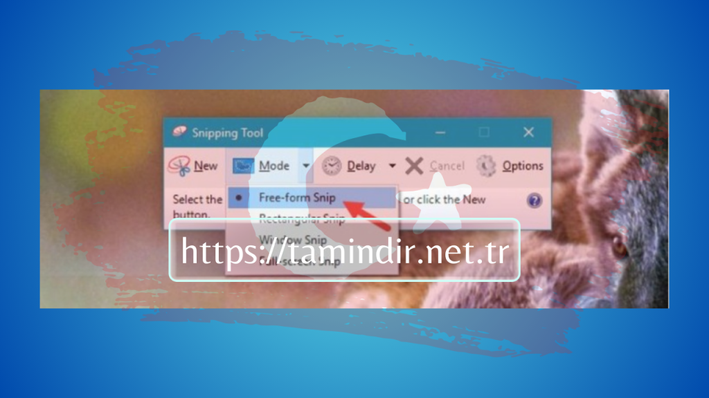 Snipping Tool Download