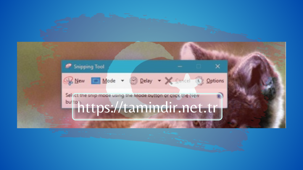 Snipping Tool Windows 10