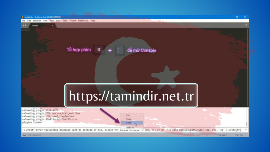 Sublime Text 3 Indir