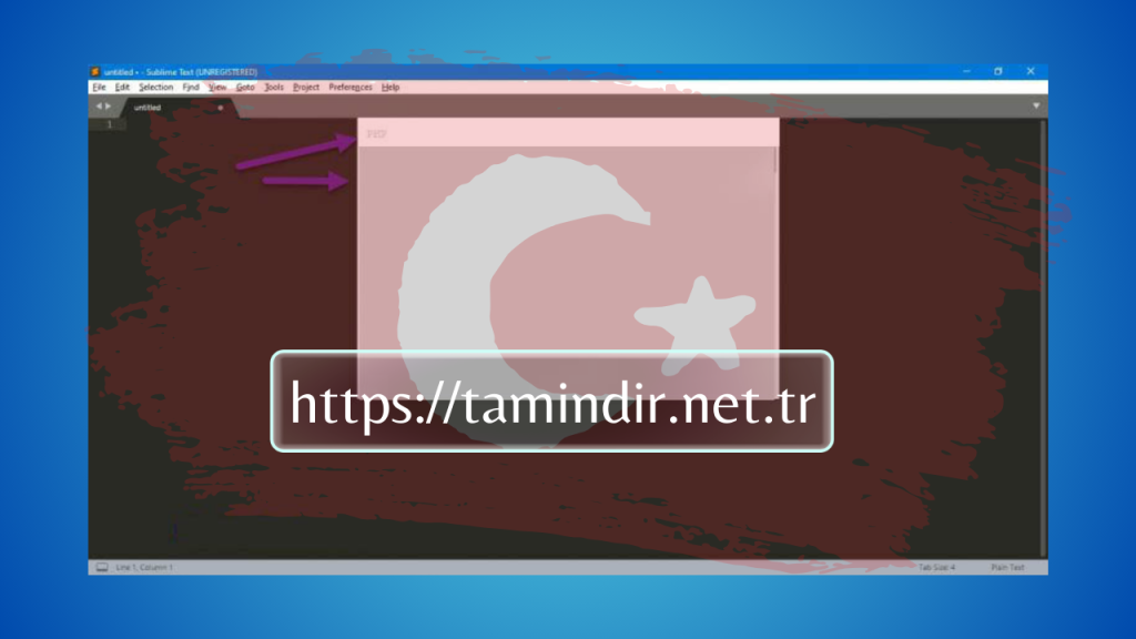Sublime Text 3 key