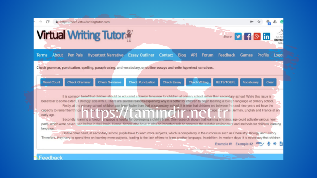 Virtual Writing Tutor