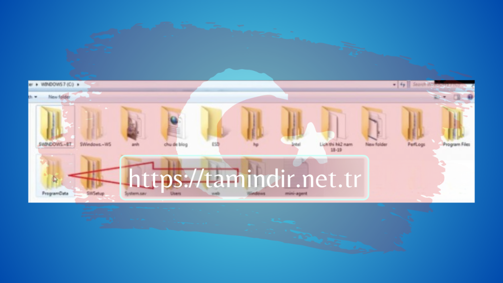 iMindMap Indir