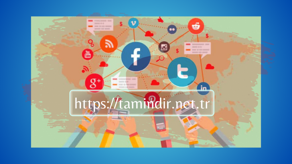 Backlink Profile Service