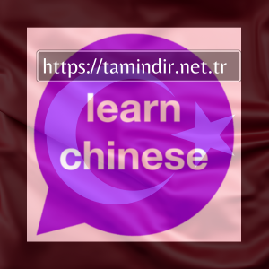 Download Chinese Learning Application