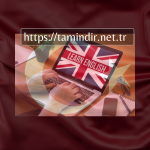 Günümüzün en Popüler 5 English Learning Software