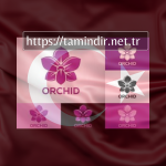 Download Orchids With High Economic Value