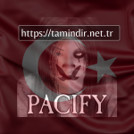 Pacify Indir v13.11.2023’ü Steam Kilitsiz – Çevrimiçi İşbirliği – Çok Oyunculu