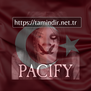 Pacify Indir v13.11.2023’ü Steam Kilitsiz – Çevrimiçi İşbirliği – Çok Oyunculu