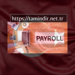 Payroll software for businesses