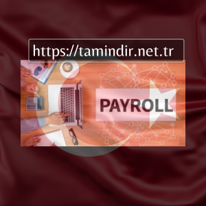 Payroll software for businesses