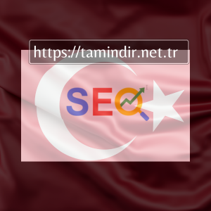 Download SEO Standard Website