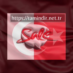 İşLetmelerin Bir Sales Website OluşTurmak Için Bir Birim Tutması Için 8 Neden
