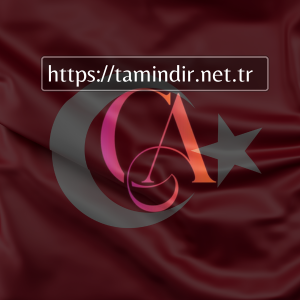 Download Website Design in Ca Mau